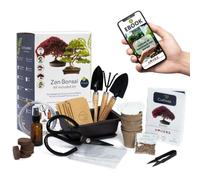 CULTIVEA Kit Bonsaï Premium Prêt à Pousser Outils E-book Jardin Intérieur Cadeau