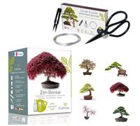 Cultivea® - Kit Complet Bonsai : Mini Kit Prêt à Pousser 6 Bonsaï + Lot de 3 Outils Essentiels en Acier - Idée Cadeau Culture et Entretien Facile