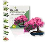 CULTIVEA® Kit First Bonsai Cercis Chinensis - Prêt à Pousser avec Graines & Accessoires - Idée Cadeau Jardinage | Made In France
