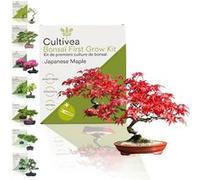 CULTIVEA® Kit First Bonsai Japanese Maple | Prêt à Pousser avec Graines & Accessoires - Idée Cadeau Jardinage | Made In France