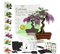 CULTIVEA® Kit First Bonsai- Kit de première culture de Bonsaï - Prêt à Pousser avec Graines & Accessoires - Idée Cadeau Jardinage | Made In France (Purple Wine)