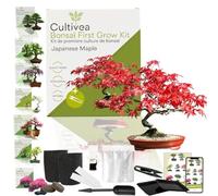 CULTIVEA® Kit First Bonsai- Kit de première culture de Bonsaï - Prêt à Pousser avec Graines & Accessoires - Idée Cadeau Jardinage | Made In France (Japanese Maple)