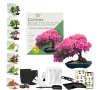 CULTIVEA® Kit First Bonsai- Kit de première culture de Bonsaï - Prêt à Pousser avec Graines & Accessoires - Idée Cadeau Jardinage | Made In France (Cercis chinensisBunge)