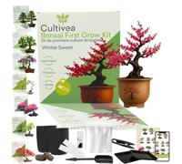 CULTIVEA® Kit First Bonsai- Kit de première culture de Bonsaï - Prêt à Pousser avec Graines & Accessoires - Idée Cadeau Jardinage | Made In France (Wintersweet)