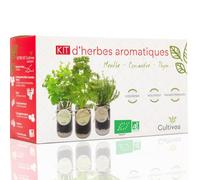 CULTIVEA® Kit Herbes Aromatiques Intérieur Bio - Menthe, Coriandre et Thym à Faire Pousser - Mini Potager Intérieur avec Bocaux en Verre - Kit Plantes Aromatiques - Idée Cadeau