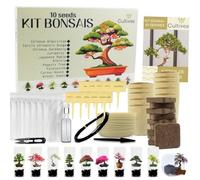 CULTIVEA® Kit Prêt à Pousser 10 Bonsai - Coffret Complet avec Graines, Pots, Outils & Notice - Kit Plantation Intérieure Facile - Idée Cadeau Jardinage | Made In France