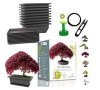CULTIVEA® Kit Prêt à Pousser Bonsaï - Graines Françaises 100% Écologiques - Jardinez et décorez - Idée Cadeau - Made in France (Coffret duo bonsaï, 1)
