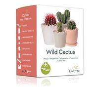 Cultivea - Kit Prêt à Pousser Cactus - 4 variétés de Cactus - Jardinez et décorez - Idée Cadeau