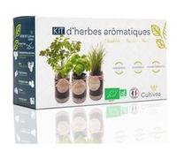 Kit Herbes Aromatiques Intérieur Bio - Basilic, Persil, Ciboulette - Mini Potager Intérieur avec Bocaux en Verre - Idée Cadeau