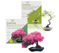 Cultivea® - Lot 2 Kits First Bonsai : Cercis Chinensis & Hackberry - Kits de Première Culture Prêt à Pousser avec Graines et Accessoires - Idée Cadeau Jardinage Originale | Made in France