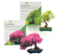 Cultivea® - Lot 2 Kits First Bonsai : Cercis Chinensis & Phoenix Tree - Kits de Première Culture Prêt à Pousser avec Graines et Accessoires - Idée Cadeau Jardinage Originale | Made in France