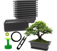 Cultivea Lot de 10 Pots à Bonsaï - 1 kit