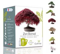 CULTIVEA® Mini Kit Prêt à Pousser 6 Bonsaï - Jardinez et décorez - Idée Cadeau (Red Mapple, Chinese Cercis, Albizia, Cornus Kousa, Norway Spruce) - Made in France