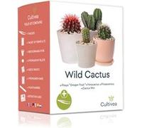 CULTIVEA® Mini Kit Prêt à Pousser Cactus - Graines Françaises 100% Écologiques - Jardinez et décorez - Idée Cadeau (Pitaya Dragon Fruit, Ferocactus, Pilosocereus et Cactus Mix) - Made In France G