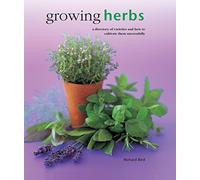 Cultiver des plantes aromatiques