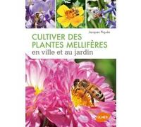 Cultiver des plantes mellifères en ville et au jardin