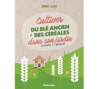 Cultiver du blé ancien et des céréales dans son jardin à partir de 50 m2