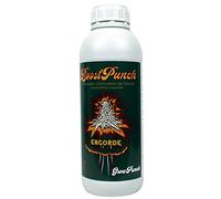 CULTIVERS BoostPunch 1L Booster et stimulateur de floraison et d'augmentation de la récolte Favorise l'engraissement et la maturation des bourgeons