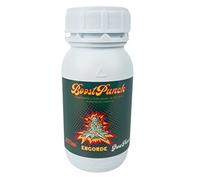 CULTIVERS BoostPunch 250 ml Booster et stimulateur de floraison et d'augmentation de la récolte Favorise l'engraissement et la maturation des bourgeons