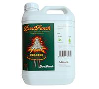 CULTIVERS BoostPunch 5L Booster et stimulateur de floraison et d'augmentation de la récolte Favorise l'engraissement et la maturation des bourgeons