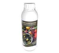 CULTIVERS Engrais liquide aux algues marines 1 l Engrais organique pour plantes extrait d'Ascophyllum nodosum. Booster de croissance, stimulateur de racines, améliore la production