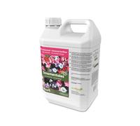 CULTIVERS Engrais liquide écologique pour plantes ornementales - 5 litres - Avec acides aminés + chélate de fer - Plantes vertes