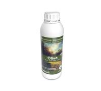 CULTIVERS Engrais Organique pour Oliviers Liquides. Engrais 100% Biologique avec macronutriments et micronutriments. Améliore la Fructification, la quantité et la qualité de l'Olive (1 L)