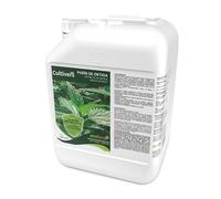 Cultivers Purin d'ortie bio 10 L super concentré Fongicide corrige la chlorose ferrique, substance de base naturelle, engrais préventif contre les parasites lutte contre les champignons