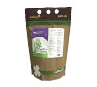 CULTIVERS Terre de diatomée moulue 1 kg, Naturelle écologique certifiée ECOCERT, Issue d’algues fossilisées sédimentées, Haute pureté en silice, matière première minérale