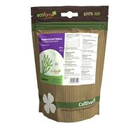 CULTIVERS Terre de diatomées micronisée 250 g, poudre ultrafine naturelle, certifiée ECOCERT, matière première d’algues fossilisées riche en silice