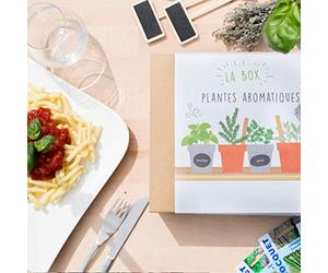 Cultiversonjardin.fr Coffret Cadeau de Jardinage // Box de Jardinage Plantes Aromatiques