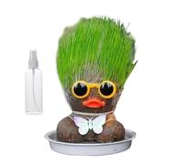 Cultivez vos propres kits de poupée, faites pousser votre propre tête d' pour , cadeau mignon et amusant pour homme, femme, enfant, d' fraîche pour la décoration de la maison