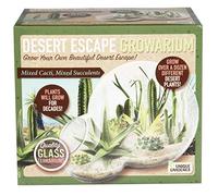 Cultivez votre propre évasion dans le désert dans un kit de démarrage de terrarium en verre de qualité avec des fournitures complètes - Facile à entretenir des cactus d'intérieur et des plantes