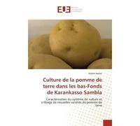 Culture de la pomme de terre dans les bas-Fonds de Karankasso Sambla Caractérisation du système de culture et criblage de nouvelles variétés de pomme de terre - Hubert Badiel - Universitaires Europeen