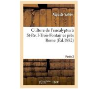 Culture De L'eucalyptus À St-Paul-Trois-Fontaines Près Rome - 2e Partie