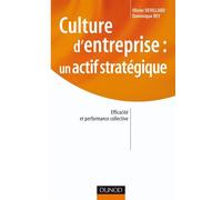 Culture d'entreprise : un actif stratégique - Olivier Devillard - Dunod - broché - Etude