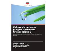 Culture du haricot à grappes Cyamopsis tetragonoloba L