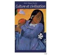 Culture et civilisation Alain Séguy-Duclot (Auteur)