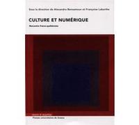 Culture et numérique Alexandra Bensamoun (Auteur), Françoise Labarthe (Auteur)