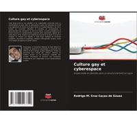Culture Gay Et Cyberespace