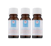 Cultures de yaourt - Faites vous-même du yaourt - Ferment pour la fabrication de yaourt probiotique (3 x 2 g de poudre)