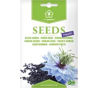 Cumin Noir, Graines Prêt À Pousser Minigarden, 100% Naturelles Sans Propagateurs Chimiques Ni Génie Génétique, Inclut Entre 200 Et 250 Graines