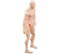 Cunlvyyds Figurine articulée en PVC Vierge de 10, 4 cm, à Monter soi-même, à Collectionner, Peindre, Dessiner, pour Exposition, Jeu, modélisation, scène, Couleur Peau/Homme