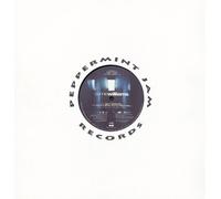 CUNNIE WILLIAMS - Barry's Mood/Spirit (Remix & Add. Prod. by Mousse T.) [Import]