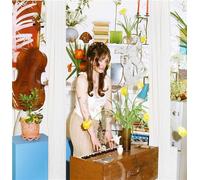 Cuntry Covers Vol 2 - 33 Tours