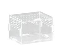 CUNZJIA Terrarium miniature en acrylique transparent pour reptiles et observations d'amphibiens de petite taille