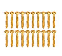 CUOFYUNL 20 pièces vis de Montage de Micro en métal Haute résistance Remplacement Guitare électrique Basse vis de Micro (Or)