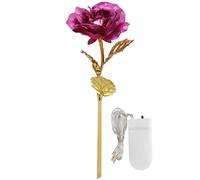 CUOFYUNL feuille d'or Rose saint valentin cadeau éclairage dernier pour toujours amour copines épouses décor de mariage (couverture rigide rose)