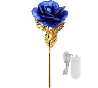 CUOFYUNL feuille d'or Rose saint valentin cadeau éclairage dernier pour toujours amour copines épouses décor de mariage (couverture rigide bleue)