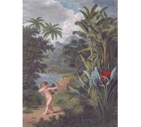 Cupidon inspirant les plantes à aimer. Illustration dans le temple de la flore ou le jardin du poète botaniste peintre et philosophe publié par Robert John Thornton. Après une gravure de 1827 par